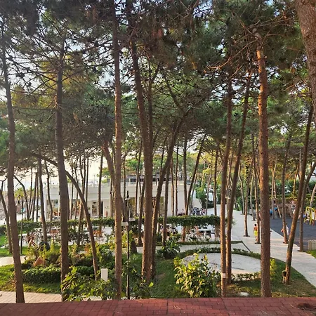 Tirent Golem (Tirana)